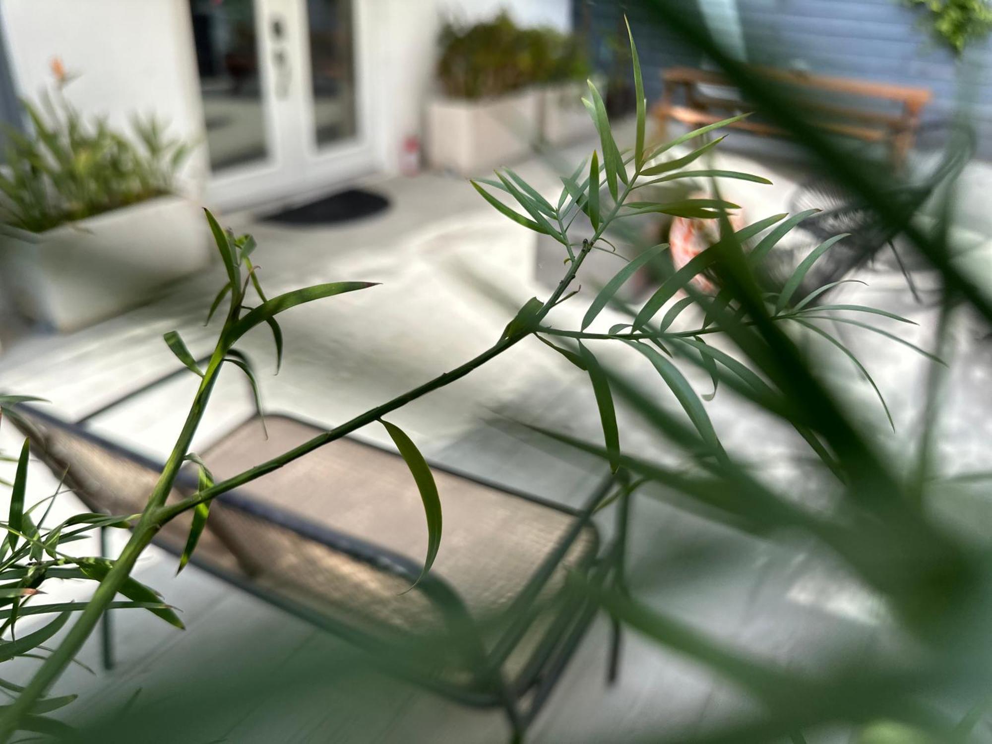 Resort Getaway In Private Garden Terrace Villa W Luxury Amenities ロサンゼルス エクステリア 写真